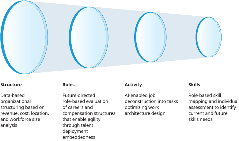 Four lenses to look through on your organization