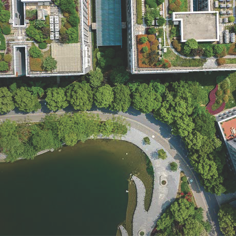Rehabilitating Nature And Greening Spaces In Urban Areas